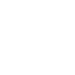 Rocket Animation